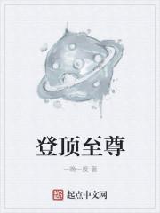 登至尊灯具