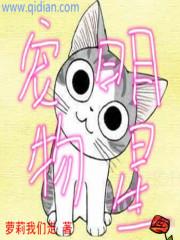 宠物明星秀