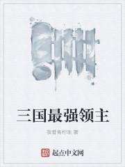 带着武器回三国