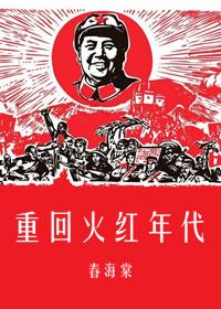 重生之火红年代