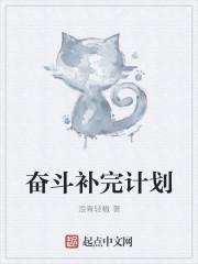 人生奋斗计划