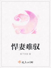 悍妻太难驯全文免费阅读