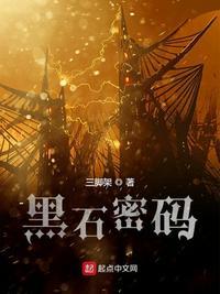 黑石密码会计薇拉