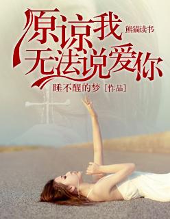 原谅我没法跟你走歌词