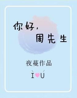 你好周先生无防盗章