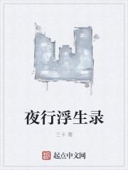 夜行实录百科