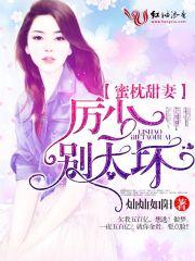 历少别太坏免费阅读