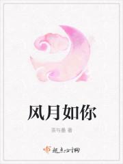如风如月如你什么意思