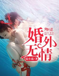 婚外无情最新章节