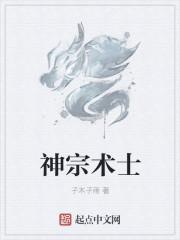 神秘术士是谁
