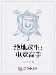 绝地求生 电竞比赛