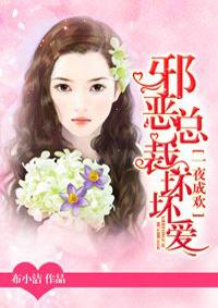 一夜成欢邪恶总裁坏坏爱完整版