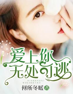 爱上你无处可逃免费