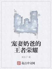 宠妻奶爸