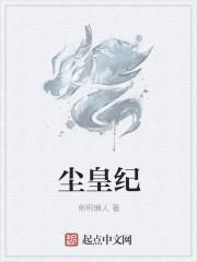 尘皇纪元 爱吃酸菜鱼