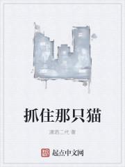 抓住那只猫的猫详细攻略图文详解