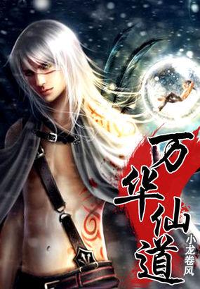 万华仙道类似的境界