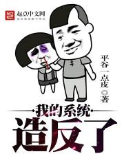 我的系统出了bug