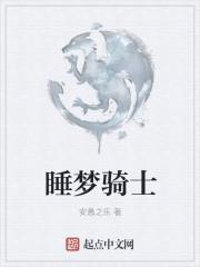 梦骑士