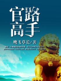 官路圣手 全文免费