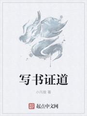 写书证道类型的