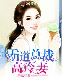 霸道总裁的高冷甜妻