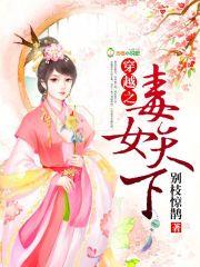 穿越之毒女王妃