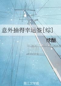 意外抽得幸运签在线阅读
