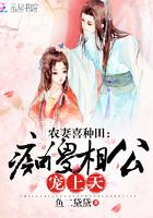 农门傻妻相公太腹黑