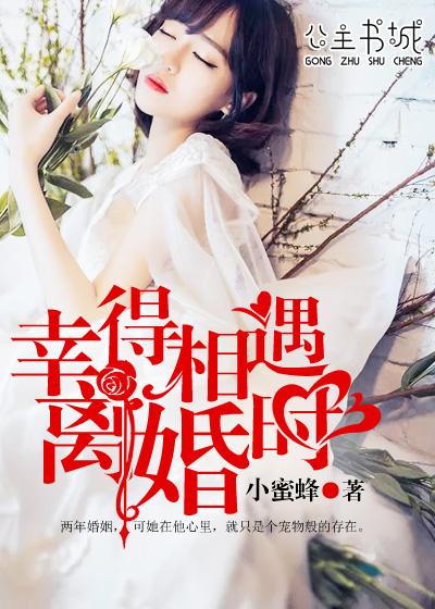 幸得相遇离婚时 第171章