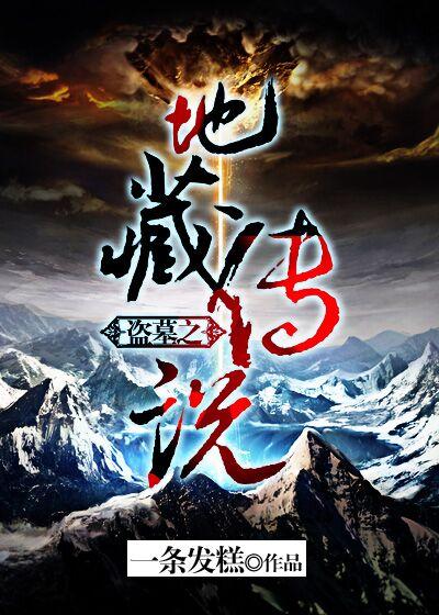 西藏盗墓的书