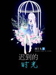 迟到时光拖鞋公司