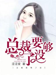总裁要够了设