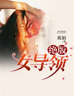 绝版女领导无删减版情迷官路