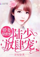 娇妻重生陆少我宠你