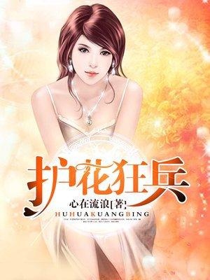 护花狂兵txt