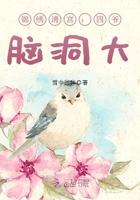 锦绣清宫四爷脑洞大 女主有几个孩子