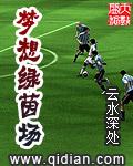 梦想绿茵场总攻进化史