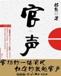 官声之巅峰权力免费阅读无弹窗