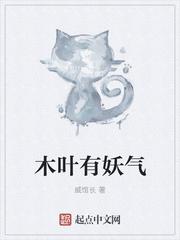 木叶有傀儡师吗