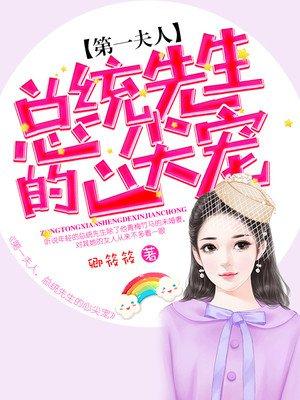 总统先生的心尖宠