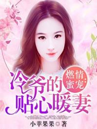 冷婚暖爱之绝宠嚣妻
