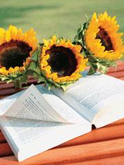 熊之咆哮爆笑片段合集