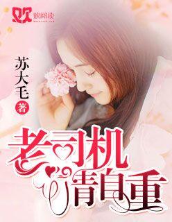 老司机高请视频