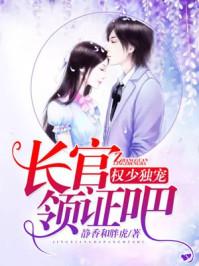 权少独宠容少领证吧全文阅读