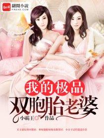 我的双胞胎老婆苏伟