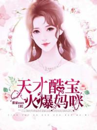 天才酷宝火爆妈免费阅读全文