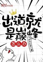出道即巅峰后面一句
