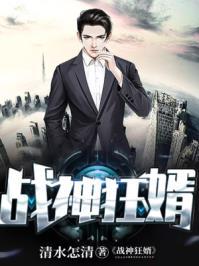 战神狂婿完本