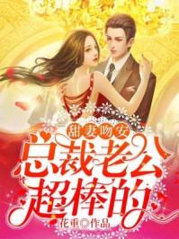 甜妻吻安之总裁老公超棒